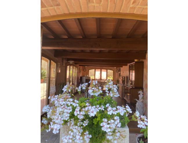 Anteprima foto 7 - Rustico/Casale in Vendita a Volterra (Pisa)
