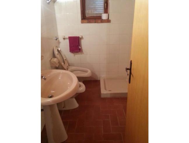 Anteprima foto 5 - Rustico/Casale in Vendita a Zagarolo - Pallavicina