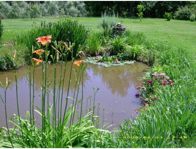 Anteprima foto 6 - Stabile/Palazzo in Vendita a Ozzero (Milano)