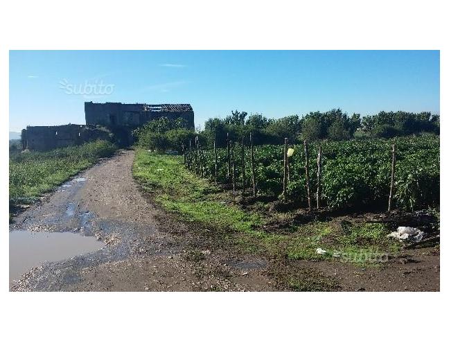 Anteprima foto 1 - Terreno Agricolo/Coltura in Affitto a Acerra (Napoli)