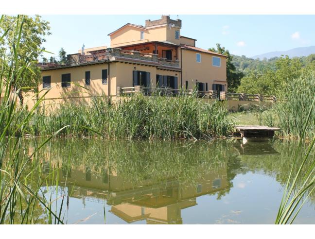 Anteprima foto 2 - Terreno Agricolo/Coltura in Affitto a Arpaise (Benevento)