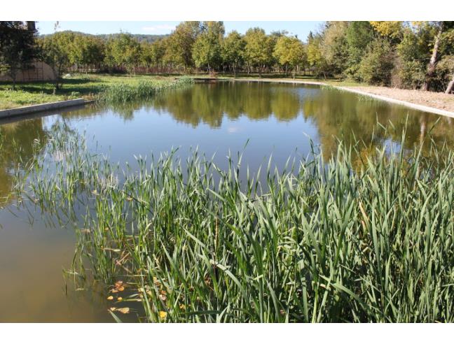 Anteprima foto 8 - Terreno Agricolo/Coltura in Affitto a Arpaise (Benevento)