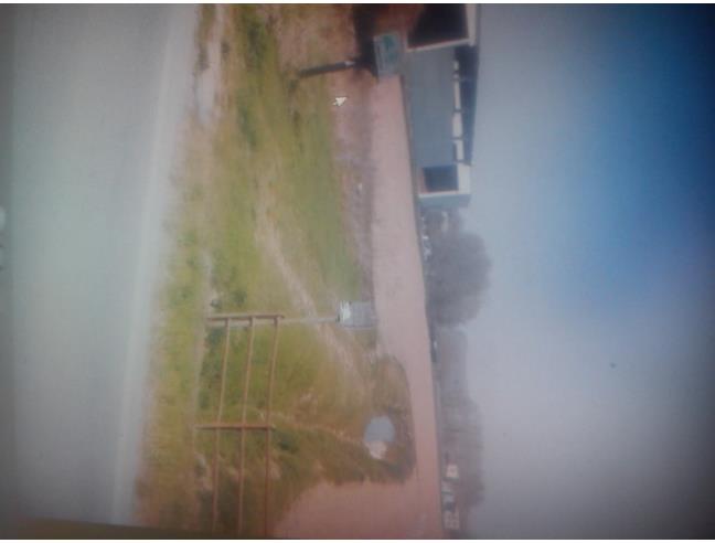 Anteprima foto 1 - Terreno Agricolo/Coltura in Affitto a Casalmaggiore - Vicomoscano