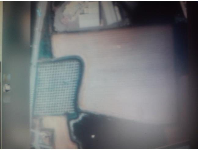 Anteprima foto 2 - Terreno Agricolo/Coltura in Affitto a Casalmaggiore - Vicomoscano