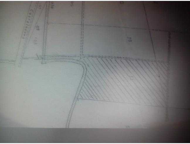 Anteprima foto 3 - Terreno Agricolo/Coltura in Affitto a Casalmaggiore - Vicomoscano