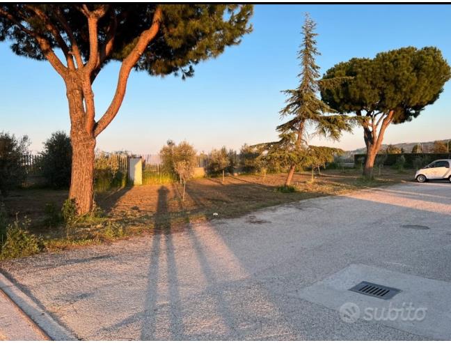 Anteprima foto 5 - Terreno Agricolo/Coltura in Affitto a Corropoli (Teramo)