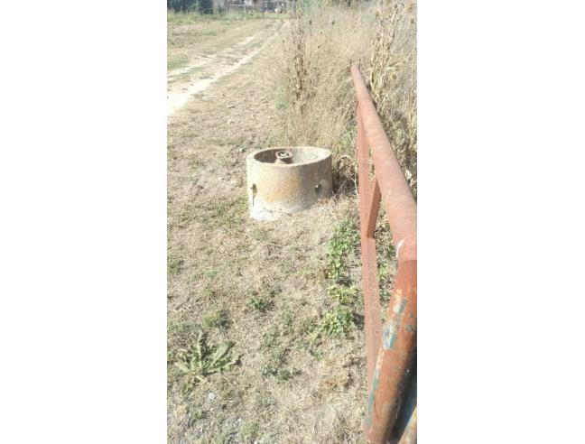 Anteprima foto 6 - Terreno Agricolo/Coltura in Affitto a Giugliano in Campania (Napoli)