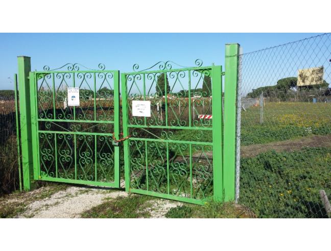 Anteprima foto 2 - Terreno Agricolo/Coltura in Affitto a Marino - Frattocchie