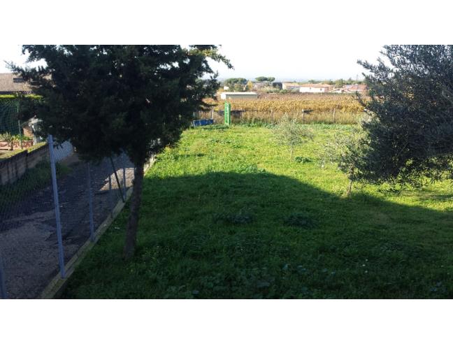 Anteprima foto 3 - Terreno Agricolo/Coltura in Affitto a Marino - Frattocchie