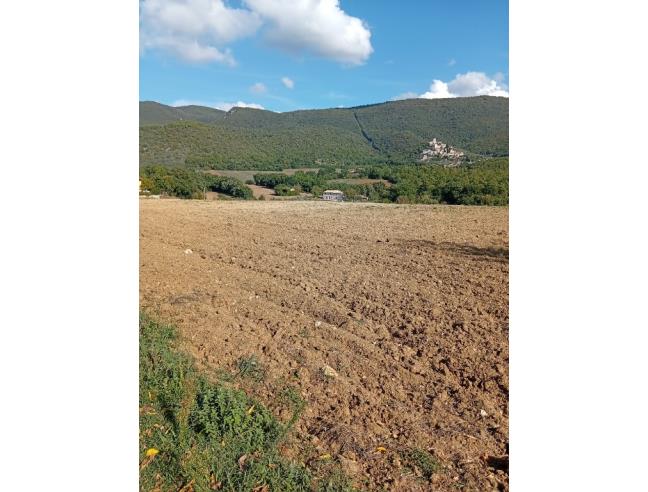 Anteprima foto 2 - Terreno Agricolo/Coltura in Affitto a Massa Martana - Colpetrazzo