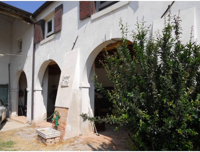 Anteprima foto 2 - Terreno Agricolo/Coltura in Affitto a Mirano (Venezia)