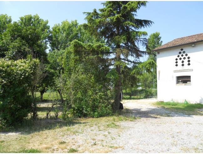 Anteprima foto 7 - Terreno Agricolo/Coltura in Affitto a Mirano (Venezia)