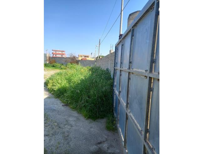 Anteprima foto 2 - Terreno Agricolo/Coltura in Affitto a Monserrato (Cagliari)