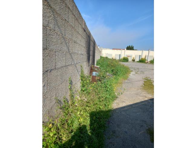 Anteprima foto 5 - Terreno Agricolo/Coltura in Affitto a Monserrato (Cagliari)