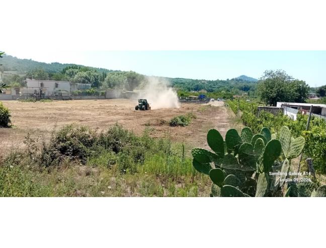 Anteprima foto 5 - Terreno Agricolo/Coltura in Affitto a Napoli - Pianura