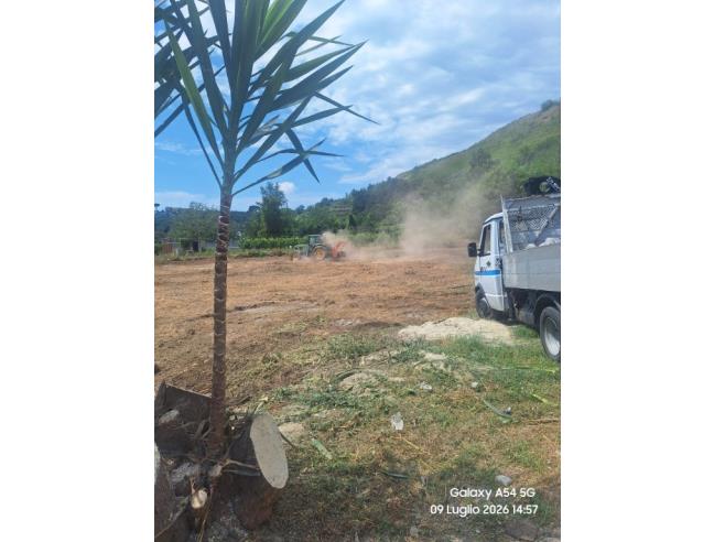 Anteprima foto 6 - Terreno Agricolo/Coltura in Affitto a Napoli - Pianura