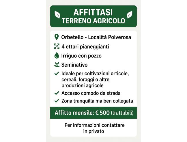 Anteprima foto 1 - Terreno Agricolo/Coltura in Affitto a Orbetello (Grosseto)