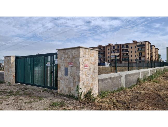 Anteprima foto 1 - Terreno Agricolo/Coltura in Affitto a Orta di Atella (Caserta)