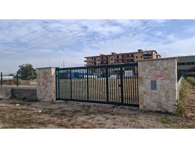 Anteprima foto 2 - Terreno Agricolo/Coltura in Affitto a Orta di Atella (Caserta)