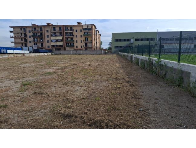 Anteprima foto 3 - Terreno Agricolo/Coltura in Affitto a Orta di Atella (Caserta)