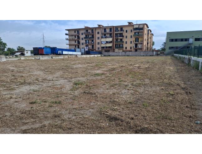 Anteprima foto 4 - Terreno Agricolo/Coltura in Affitto a Orta di Atella (Caserta)