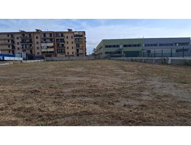 Anteprima foto 5 - Terreno Agricolo/Coltura in Affitto a Orta di Atella (Caserta)