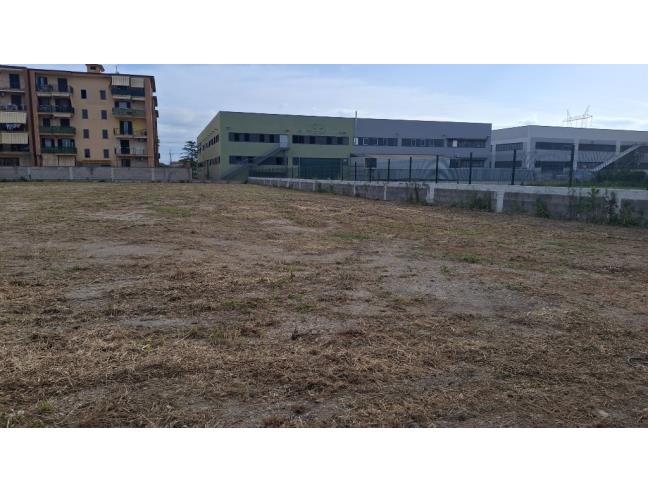 Anteprima foto 6 - Terreno Agricolo/Coltura in Affitto a Orta di Atella (Caserta)