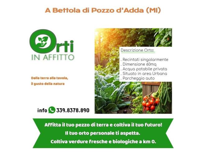 Anteprima foto 1 - Terreno Agricolo/Coltura in Affitto a Pozzo d'Adda - Bettola