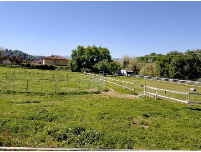 Anteprima foto 2 - Terreno Agricolo/Coltura in Affitto a Reggello (Firenze)