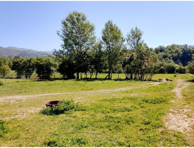 Anteprima foto 3 - Terreno Agricolo/Coltura in Affitto a Reggello (Firenze)