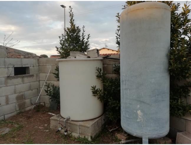 Anteprima foto 2 - Terreno Agricolo/Coltura in Affitto a Roma - Ostia