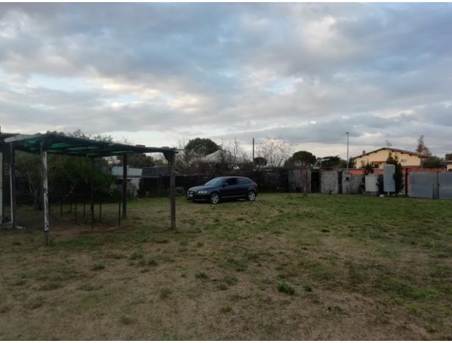 Anteprima foto 3 - Terreno Agricolo/Coltura in Affitto a Roma - Ostia