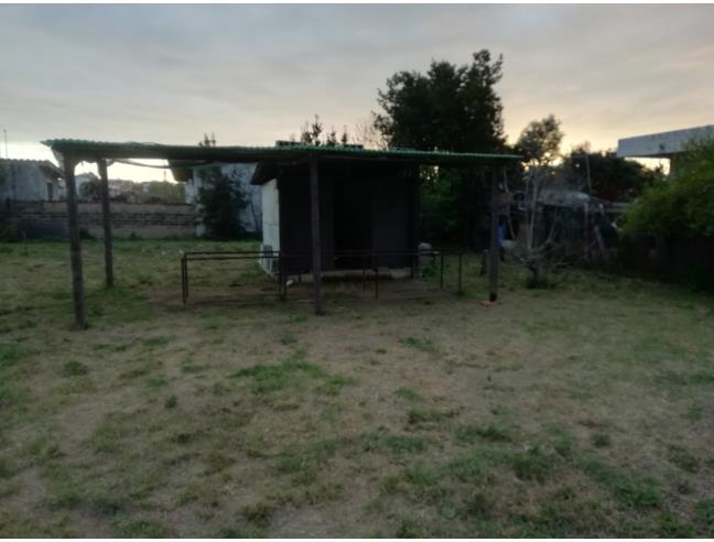 Anteprima foto 4 - Terreno Agricolo/Coltura in Affitto a Roma - Ostia