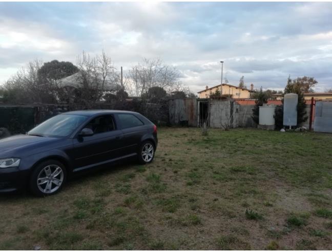 Anteprima foto 5 - Terreno Agricolo/Coltura in Affitto a Roma - Ostia