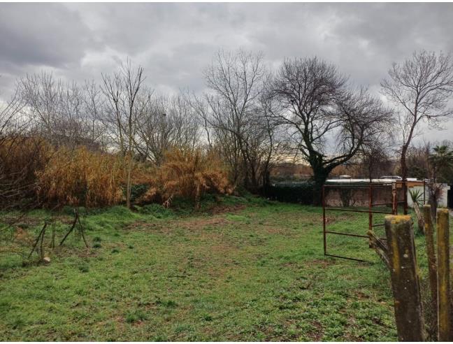 Anteprima foto 2 - Terreno Agricolo/Coltura in Affitto a Roma - Romanina