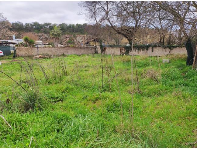 Anteprima foto 3 - Terreno Agricolo/Coltura in Affitto a Roma - Romanina