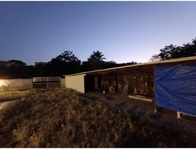 Anteprima foto 5 - Terreno Agricolo/Coltura in Affitto a Roma - Romanina