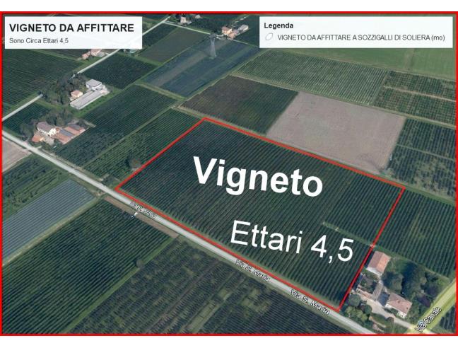 Anteprima foto 1 - Terreno Agricolo/Coltura in Affitto a Soliera (Modena)