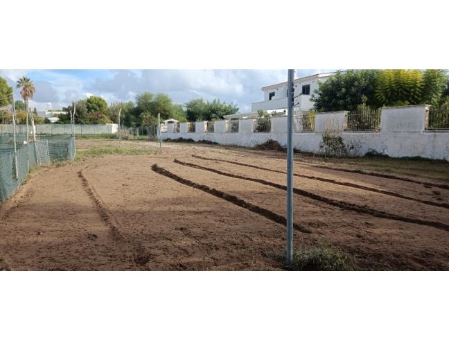Anteprima foto 2 - Terreno Agricolo/Coltura in Affitto a Taranto - San Vito