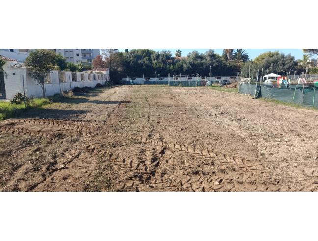 Anteprima foto 4 - Terreno Agricolo/Coltura in Affitto a Taranto - San Vito