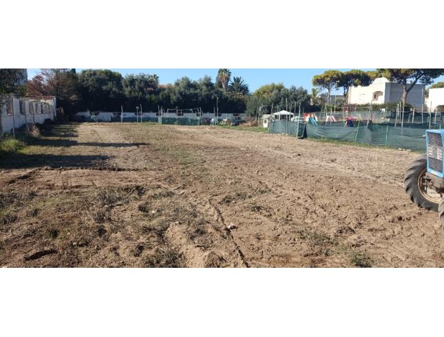 Anteprima foto 5 - Terreno Agricolo/Coltura in Affitto a Taranto - San Vito