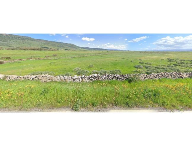 Anteprima foto 2 - Terreno Agricolo/Coltura in Affitto a Valledoria - La Ciaccia