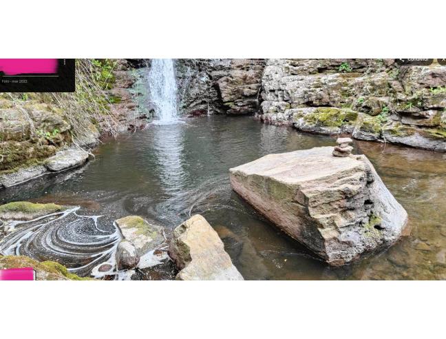 Anteprima foto 3 - Terreno Agricolo/Coltura in Affitto a Valledoria - La Ciaccia