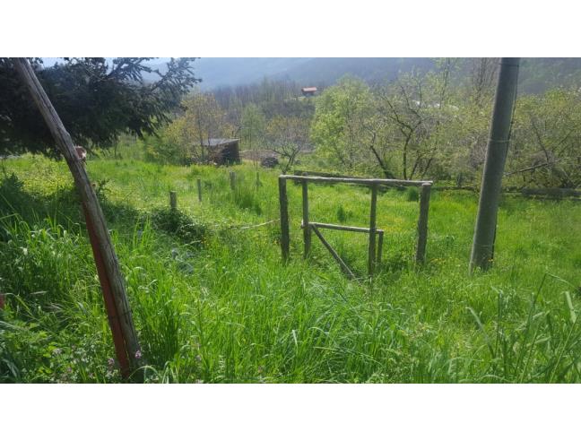 Anteprima foto 1 - Terreno Agricolo/Coltura in Affitto a Varese Ligure - Scurtabo