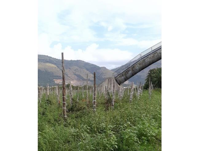Anteprima foto 2 - Terreno Agricolo/Coltura in Vendita a Acerra (Napoli)