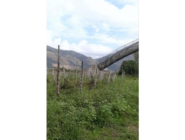 Anteprima foto 3 - Terreno Agricolo/Coltura in Vendita a Acerra (Napoli)