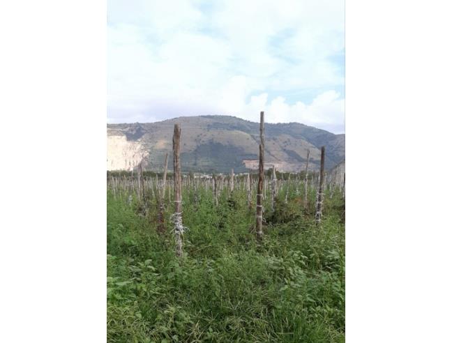 Anteprima foto 4 - Terreno Agricolo/Coltura in Vendita a Acerra (Napoli)