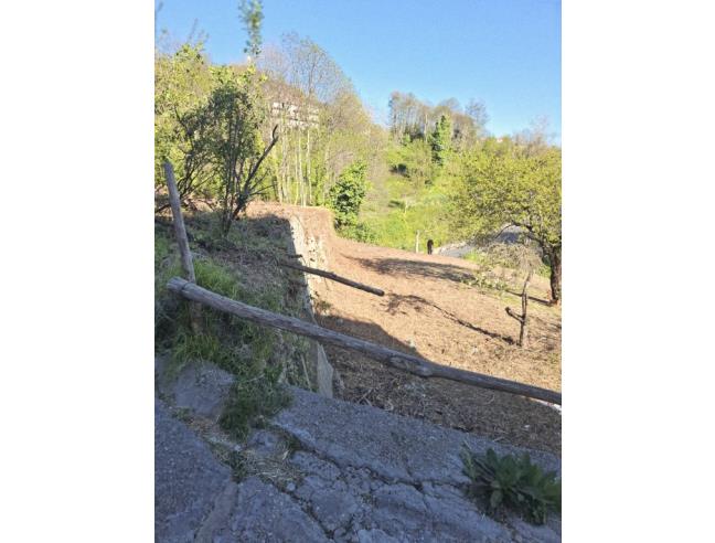Anteprima foto 4 - Terreno Agricolo/Coltura in Vendita a Agerola - San Lazzaro