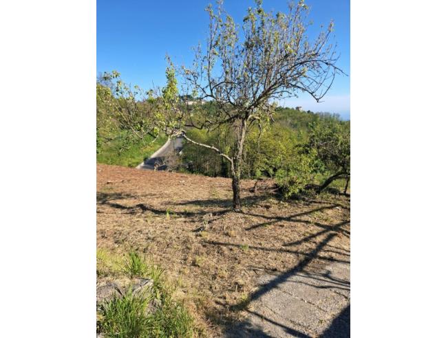 Anteprima foto 5 - Terreno Agricolo/Coltura in Vendita a Agerola - San Lazzaro