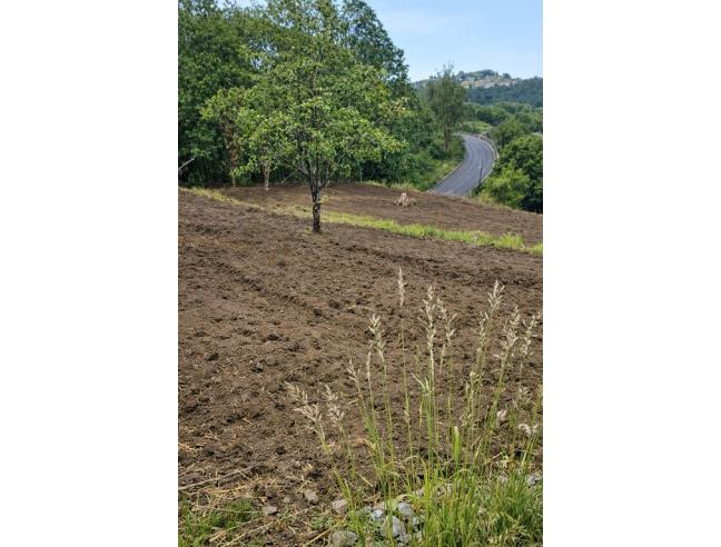 Anteprima foto 6 - Terreno Agricolo/Coltura in Vendita a Agerola - San Lazzaro